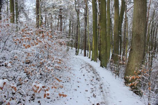 Wędrówki po Trójmiejskim Parku Krajobrazowym